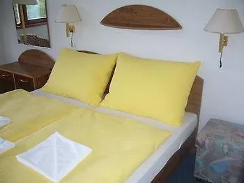 Guest house Pleso 3*