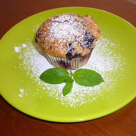 Pleso Guest house 3*